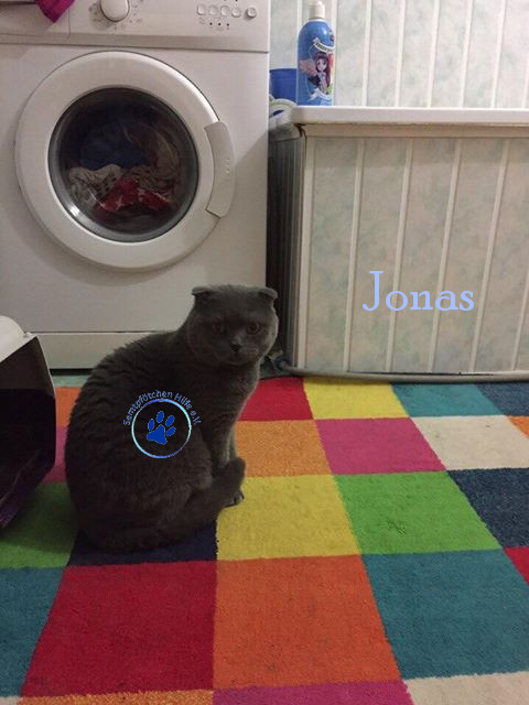 Bilder_Name/201706/Jonas18 mit Namen.jpg